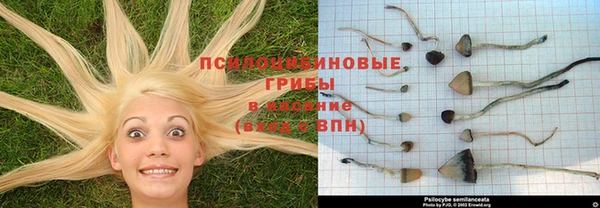 ECSTASY Снежинск