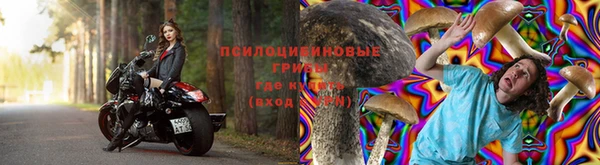прущая мука Снежногорск