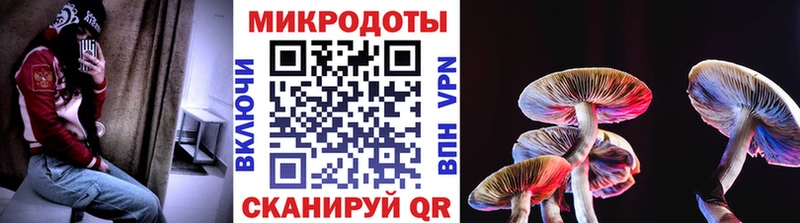 Псилоцибиновые грибы Cubensis  продажа наркотиков  Вичуга 